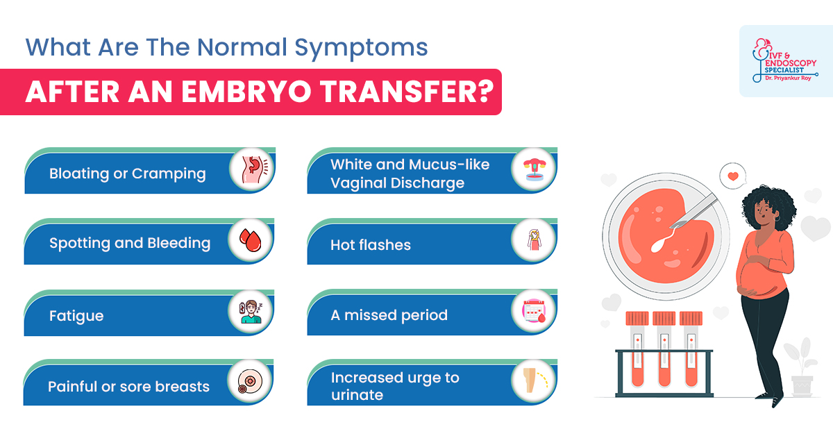 Normal Symptoms after an embroy transfer